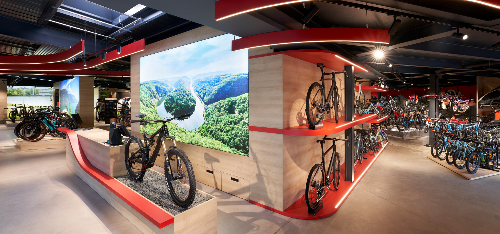 Dynamischer Fahrrad Ladenbau für wecycle